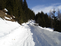 mounteverest.at: Bilder zur Skitour > Sausteige
