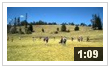 mounteverest.at: Video Nr. 8 > Mdchenfussball in ca. 3.800 m ber Huaraz