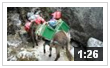 mounteverest.at: Video Nr. 11 > Peruanische Eseltreiber